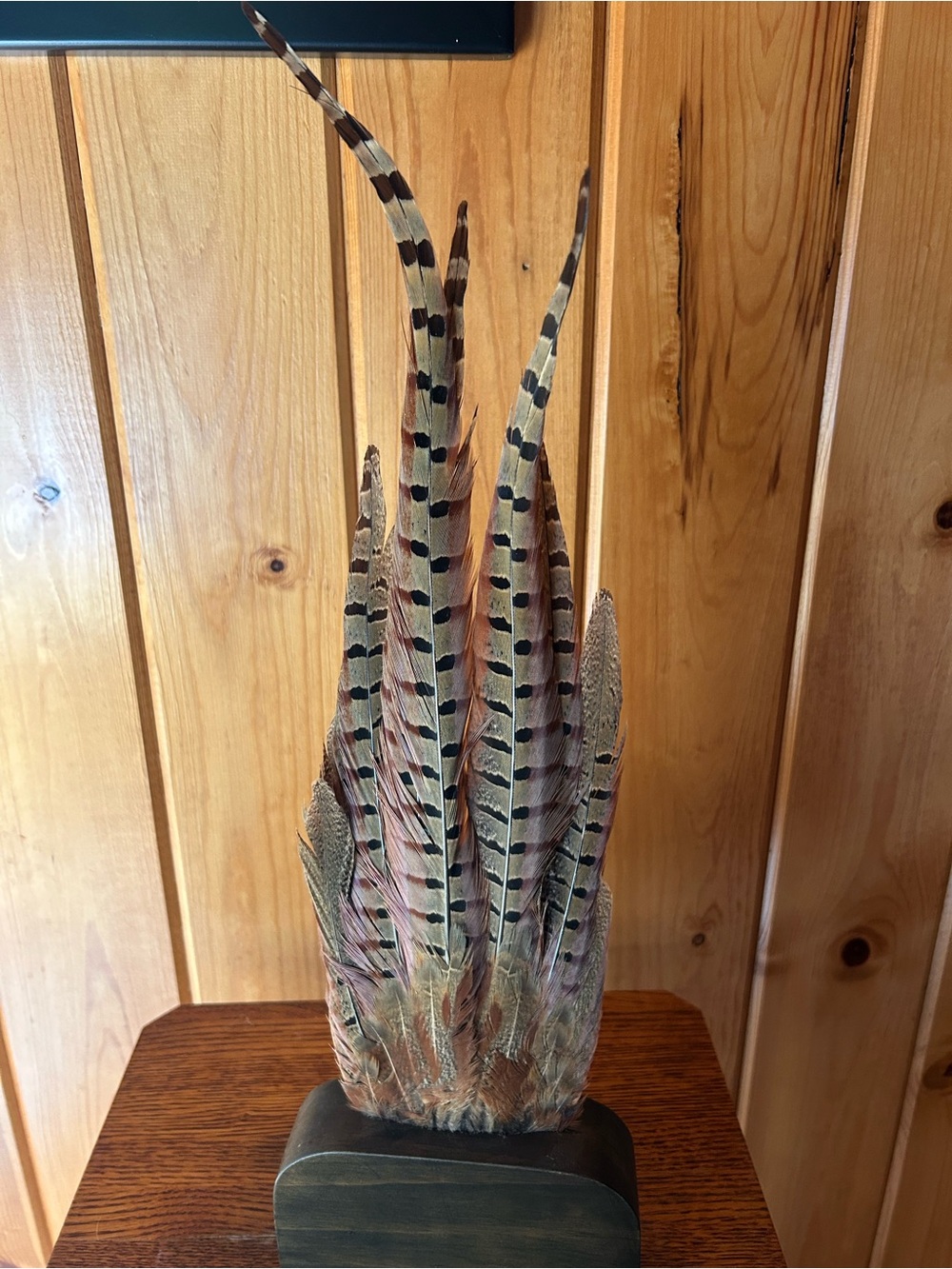 Decorative Feather Accent in Brown and Cream - Home Accents